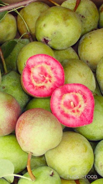 Pêra de carne Vermelha - SUPER DOCE - Planta viva