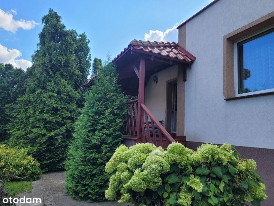 Dom w pobliżu rzeki otoczony zielenią nawet zimą