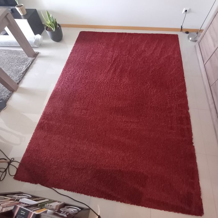 Tapete - pelo curto - bem cuidado