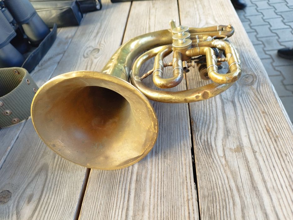 Sprzedam kolekcjonerski instrument