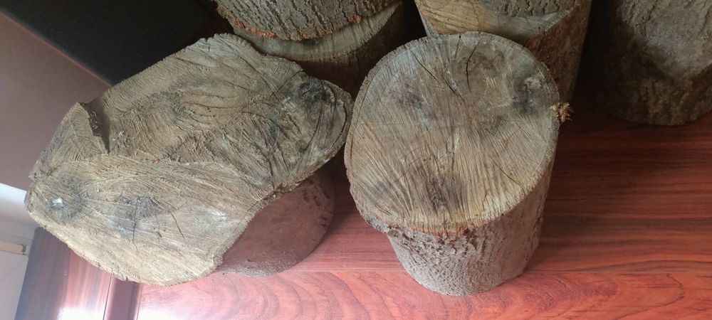 Pieńki drewniane zestaw