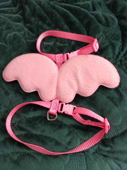 Zestaw dla małego psa/kota obroża skrzydełka kokardki