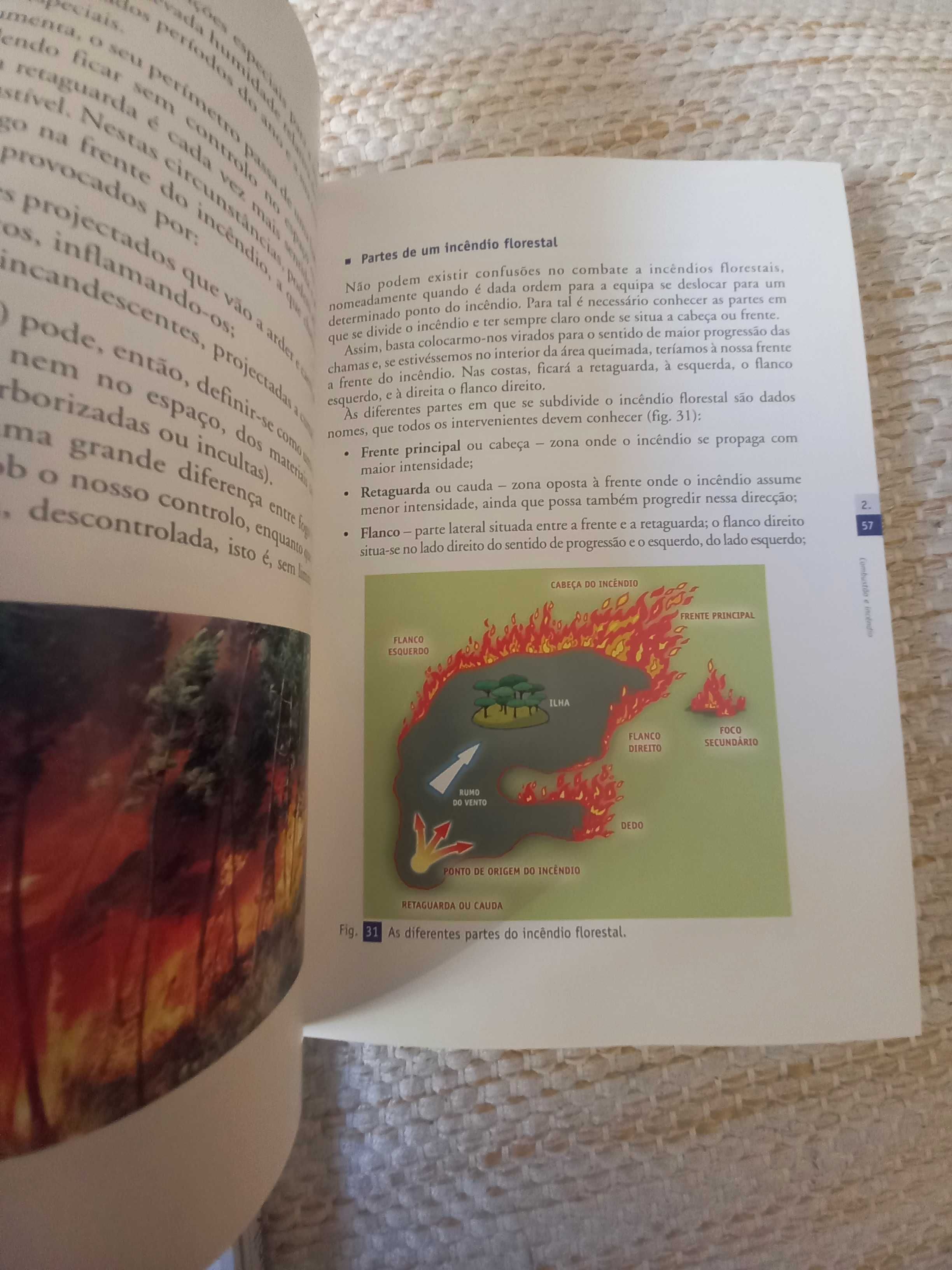 Manual de Combate a Incêndios Florestais