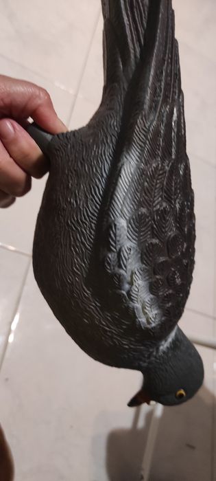 Pombo 3D para caçadores, em ótimas condições e preço