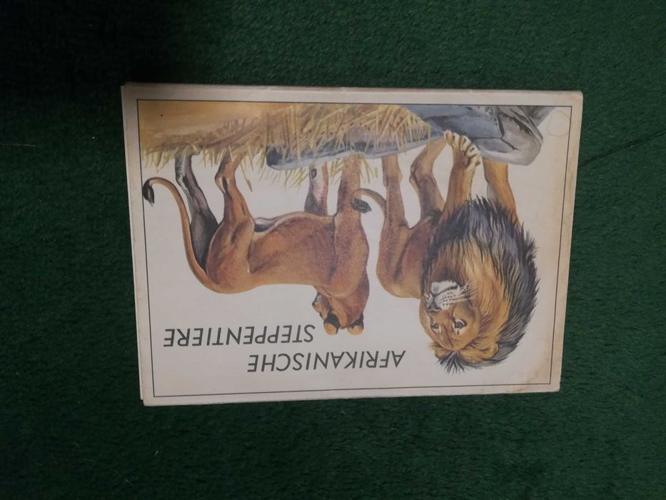 Pocztówki ze zwierzętami afrykańskimi 12 szt