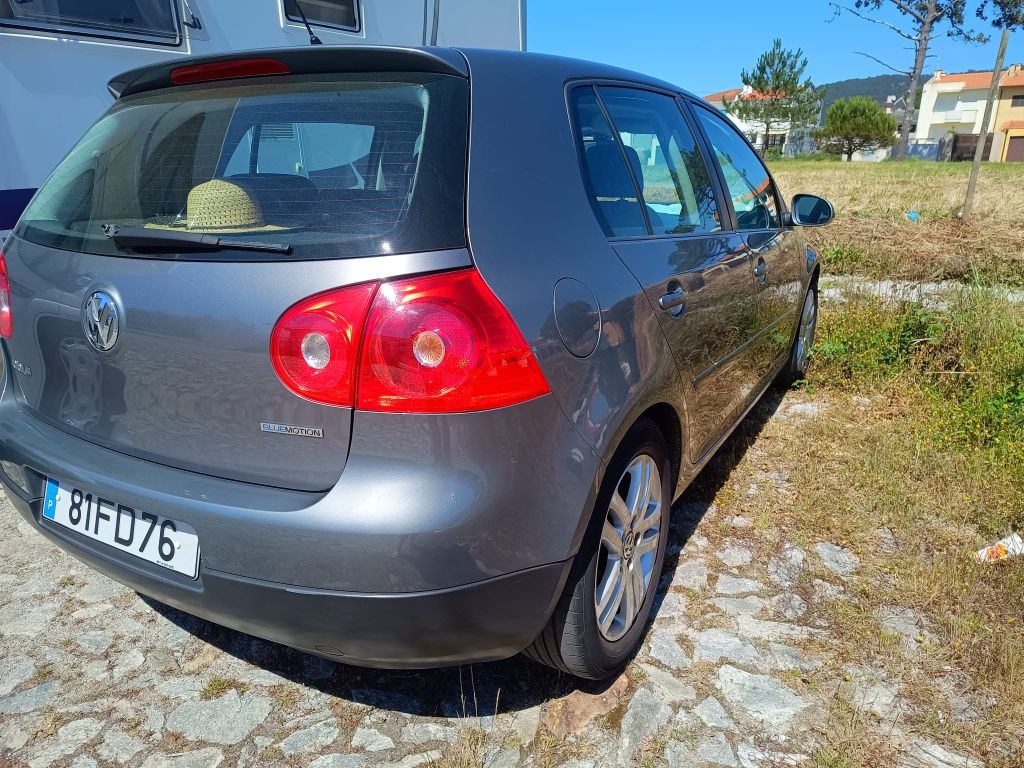 Volkswagen Golf V Bluemotion 1.9tdi 105cv