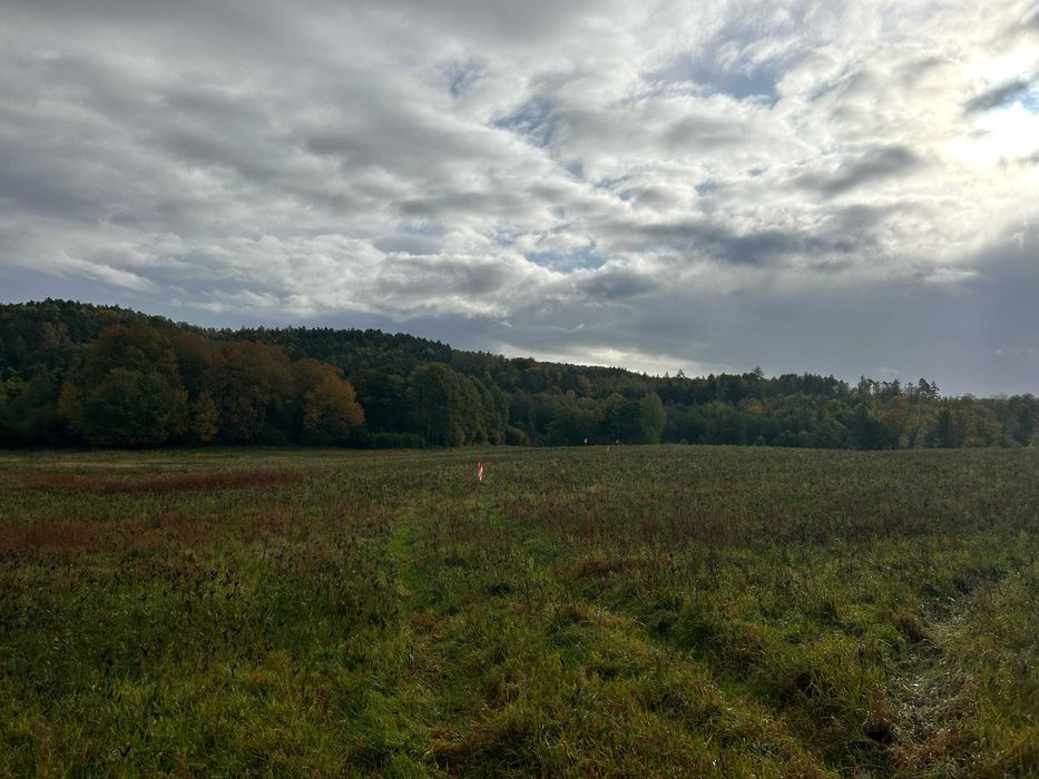 Lębork działka budowlana 981m2 graniczy bezpośrednio z linia lasu