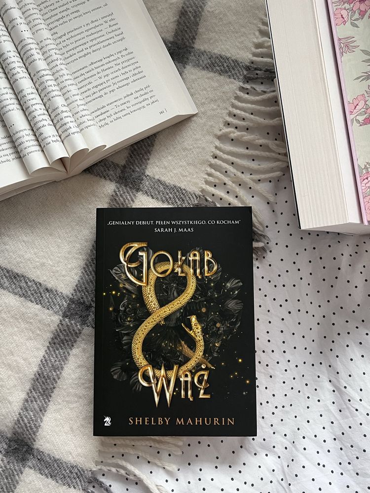 "Gołąb i Wąż" Shelby Mahurin