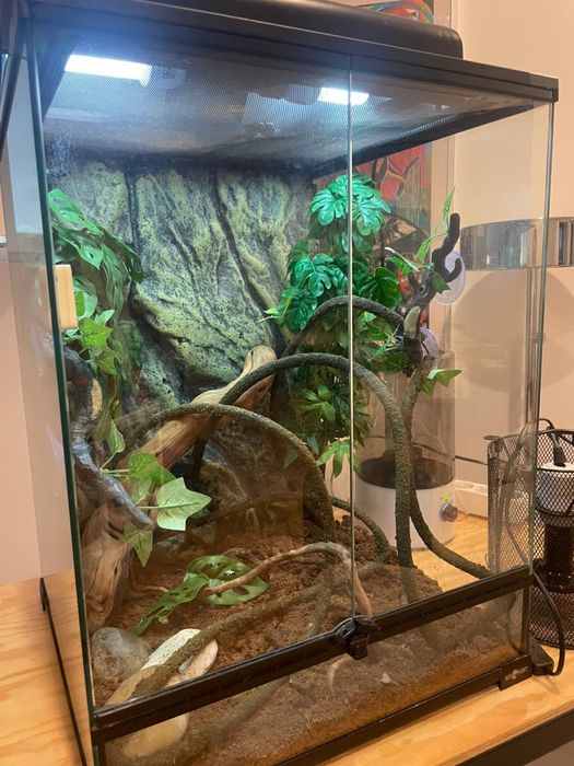 Mesa estante Rack c/ rodas prateleiras p/ Terrario 84cm X 54 x 88cm