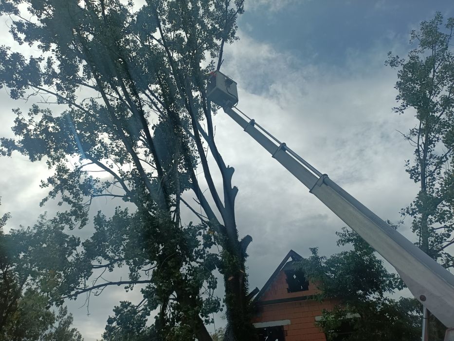 Wynajem podnośnika koszowego 34m i 22m wycinka drzew