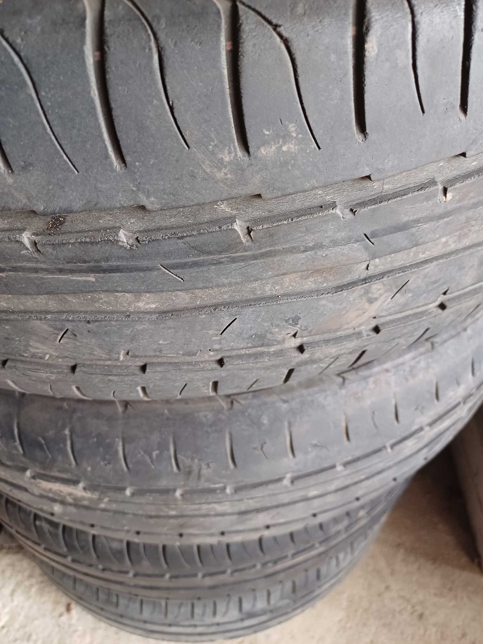 Komplet opon letnich Dębica Presto HP 195/65 R15