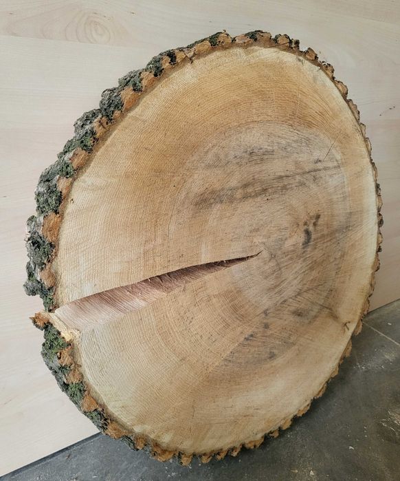 Plastry z drzewa jesionowego idealne na stoliki.