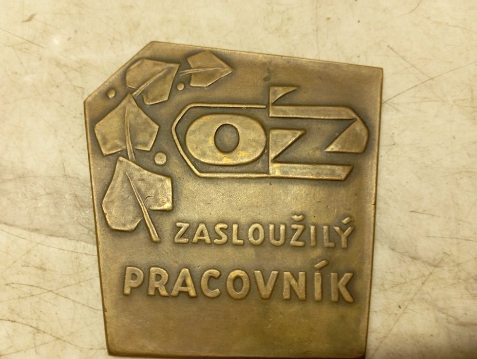 porządki domowe medal