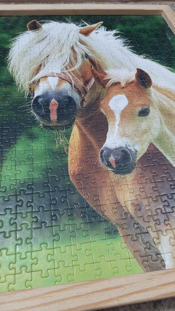 Obraz z puzzli w ramie konie koniki