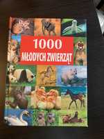 1000 Młodych zwierząt. Slbum