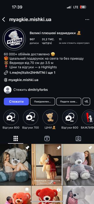 Медведик 280 см, Новий