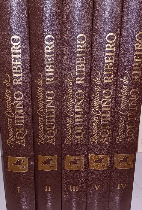 Livros/Eça Queiroz/culinária/José Rodrigues dos Santos/florbela