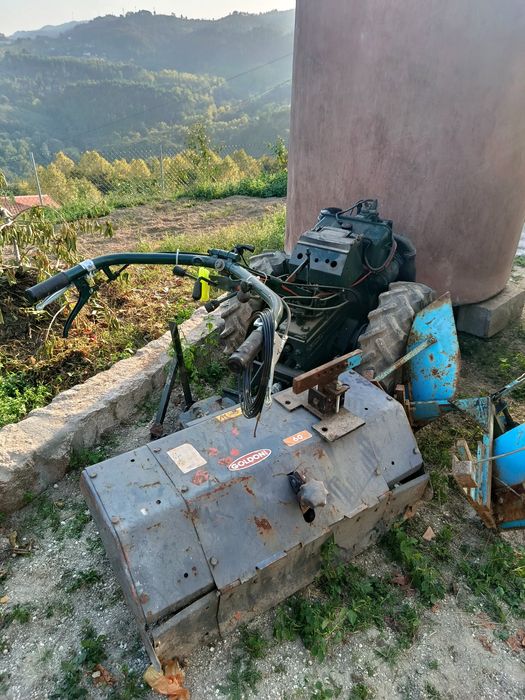 Motocultivadora lombardini / frese e arado