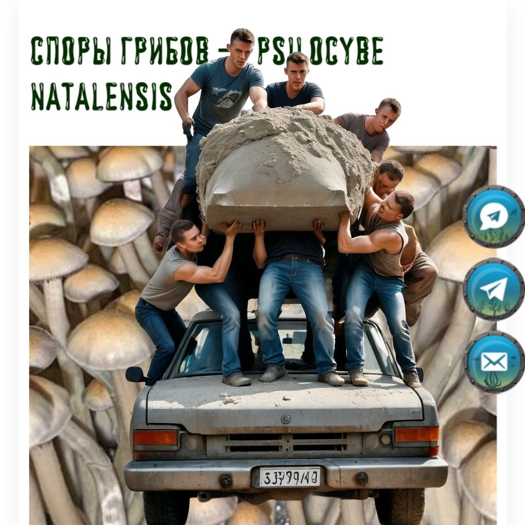 услуги грузчика.