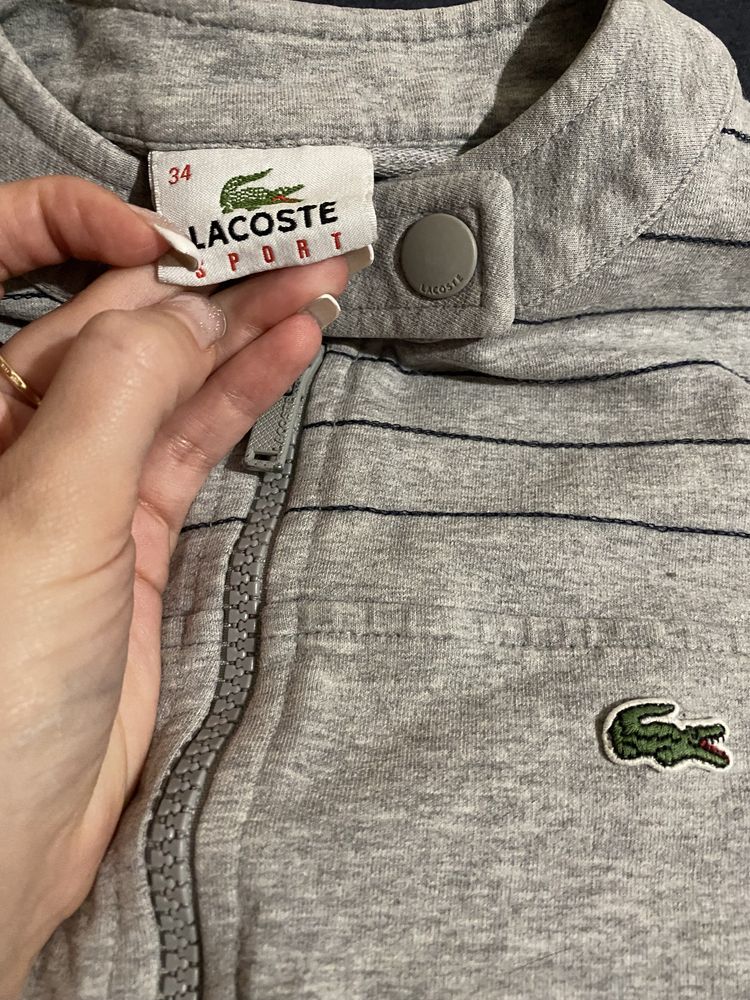 Оригинальная кофта Lacoste XS