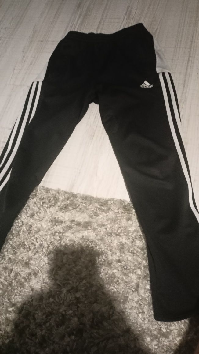 Spodnie dresowe adidas