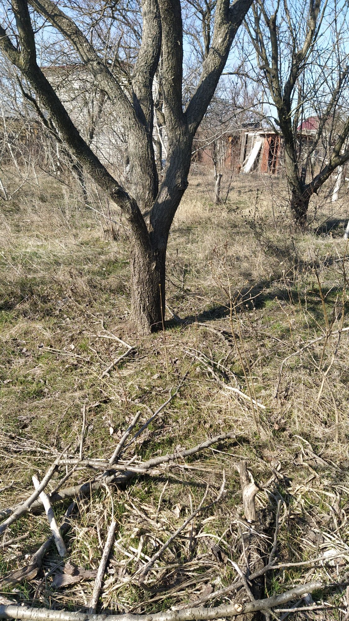 Продам дачный участок, СТ "Свитанок", новые дачи.