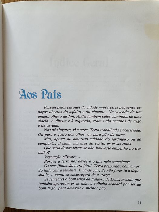 Biblia juvenil - estado novo