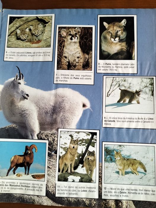 Cadernetas Animals of the World - Panini