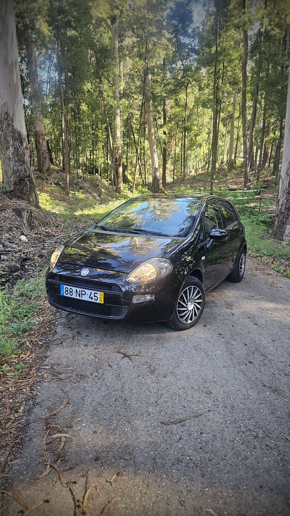 Fiat Punto EVO bi-fuel