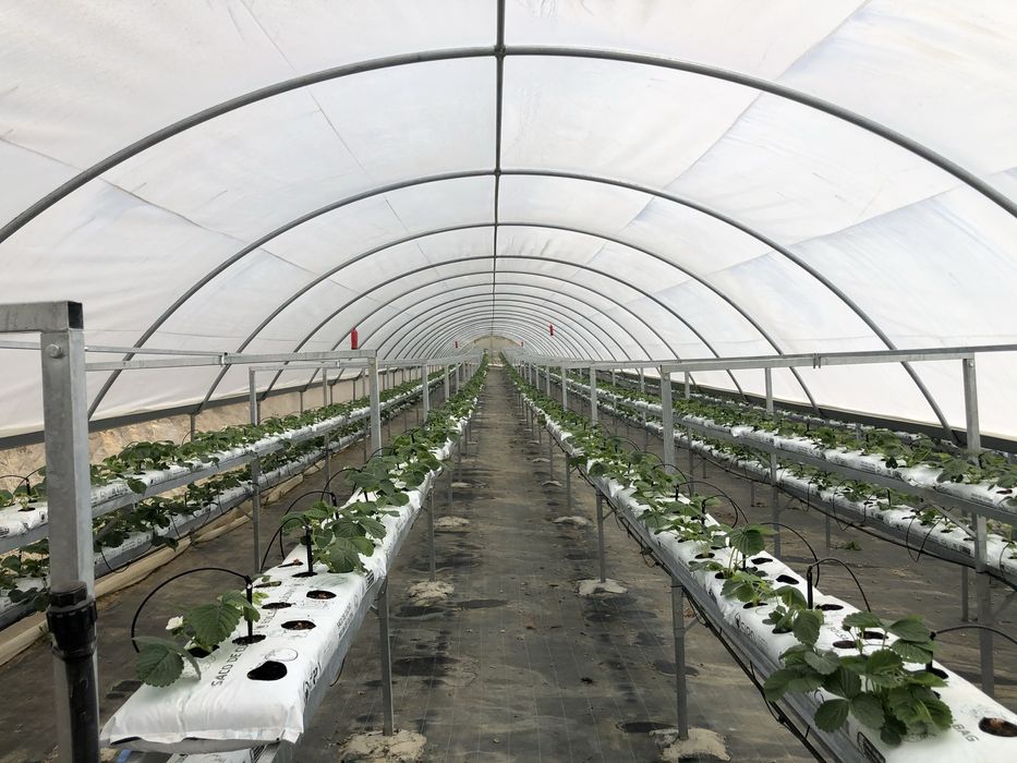 Vendo Estrutura Aço Galvanizado