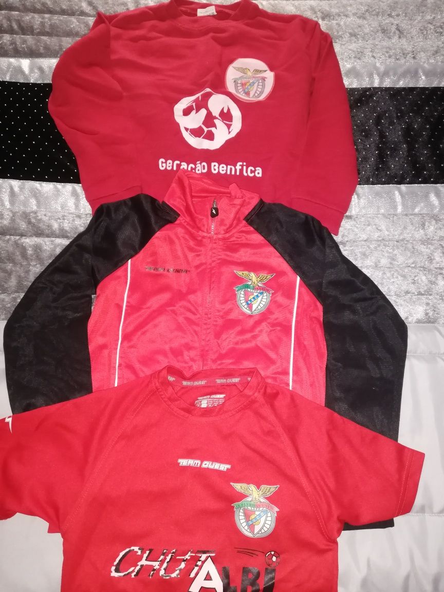 Equipamento Benfica Castelo Branco