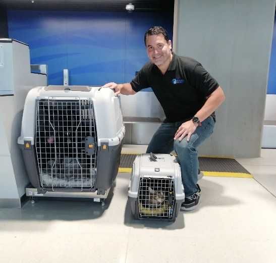 Транспортировочный бокс переноска клетка для собак кошек №1,2,3,4,5,67