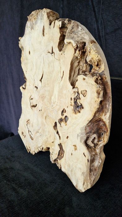 K10 54x32x4,5 czeczota monolit blat decha plaster żywica lite drzewo