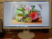 Монитор 24" Fujitsu B24-8TE Pro