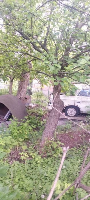 Продам два дачных участка Журавлевские склоны