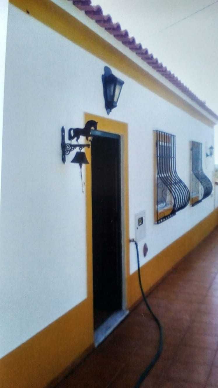 Quinta Alentejo - Avis