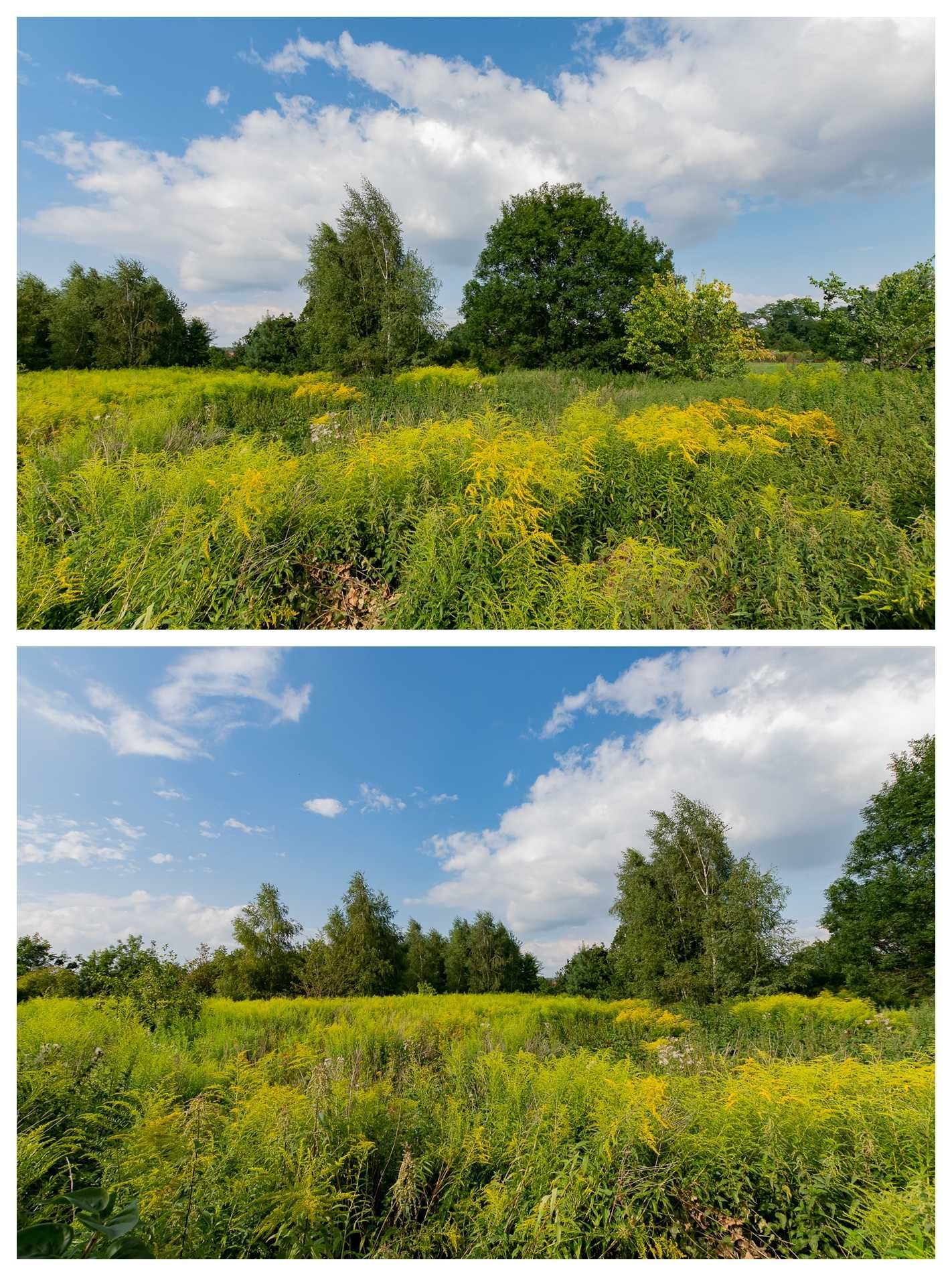 Piękna działka pod Łodzią. Babice, gm Lutomiersk. 4600m2