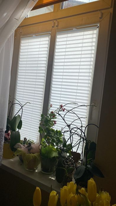 Нові Жалюзі на вікна. В наявності!