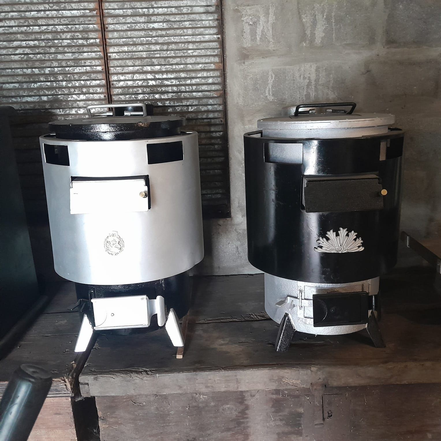 Vendo salamandras