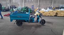 Електротрицикл Dozer Model 1 800W Новий
