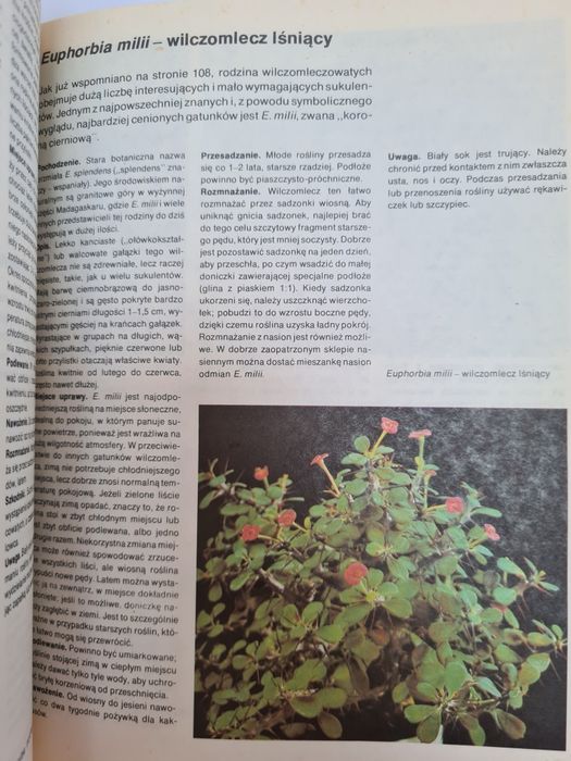 Mieszkamy wśród kwiatów - Książka