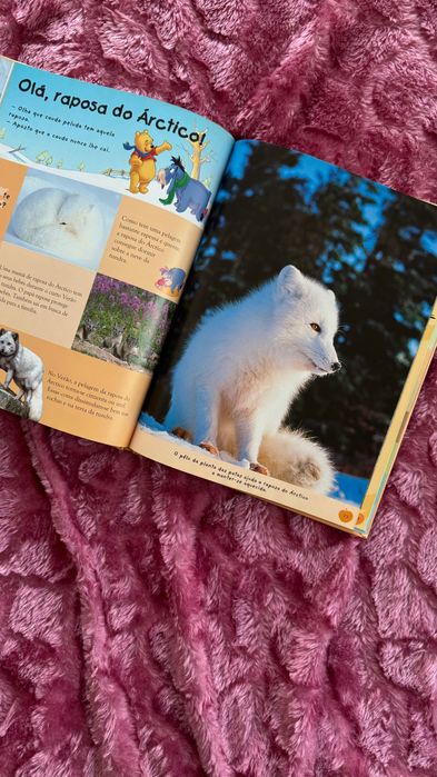 Livro Winnie The Pooh "A TUNDRA" Disney