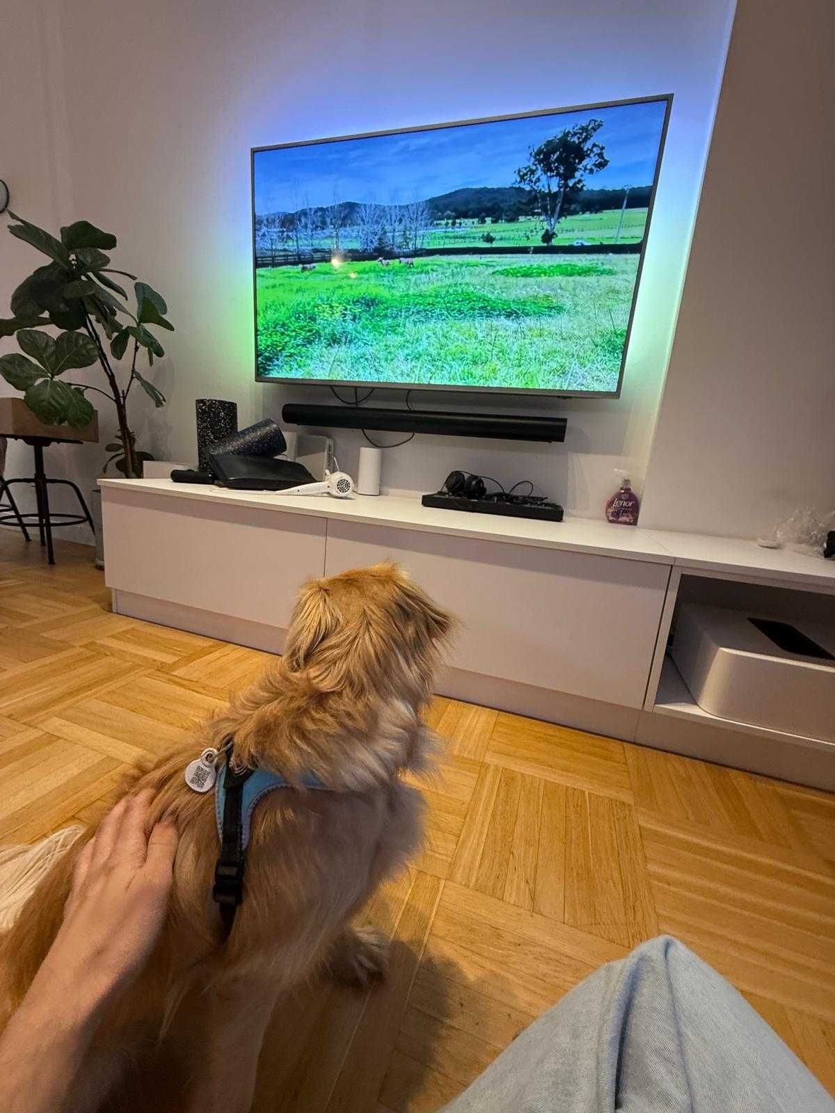 Telewizor Philips 65" 65PUS7855/12 + uchwyt ścienny + HDMI
