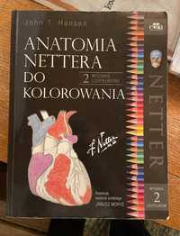 Kolorowanka anatomia anatomiczna netter