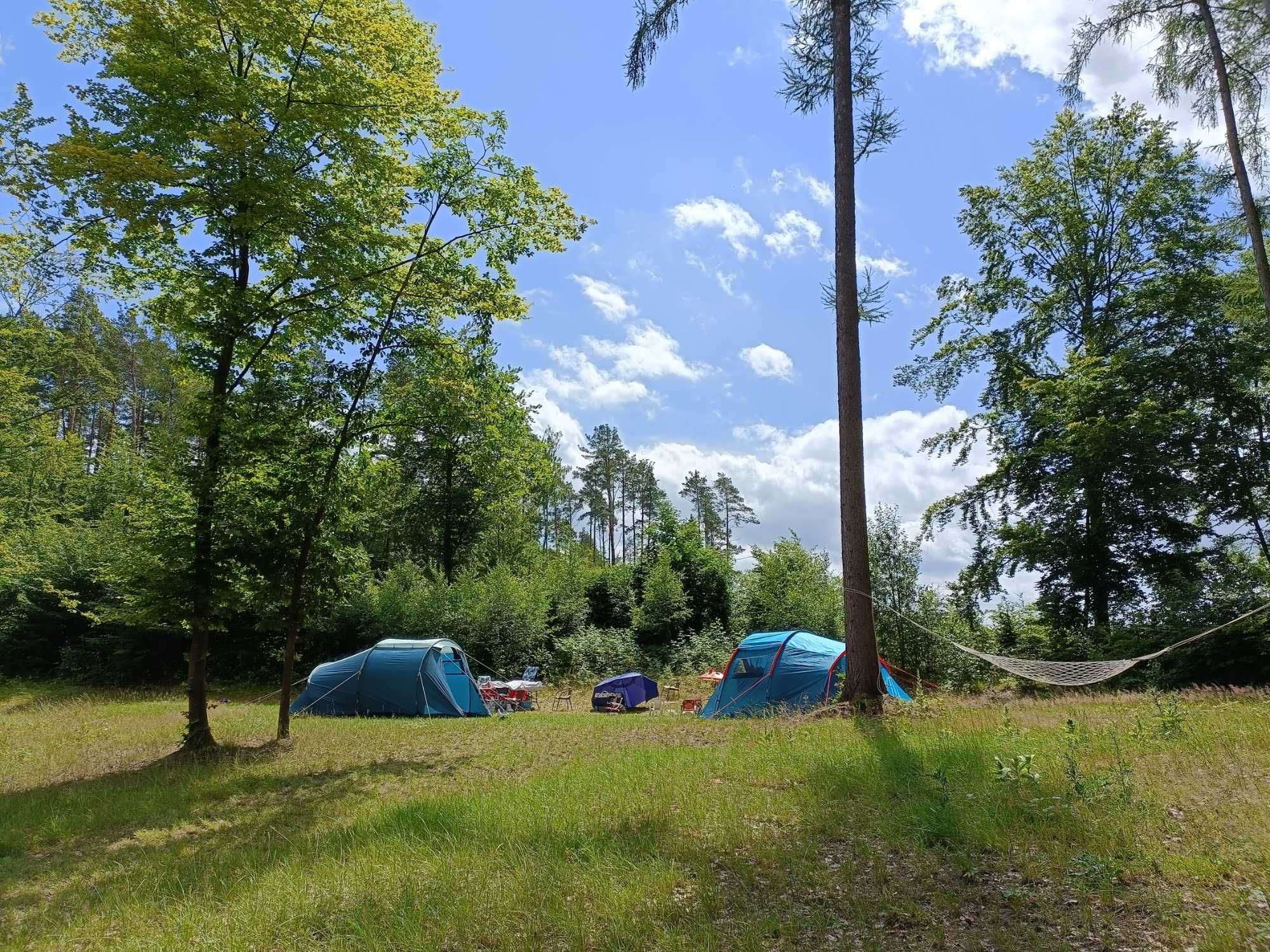 Pole namiotowe na Kaszubach nad jeziorem Mausz.