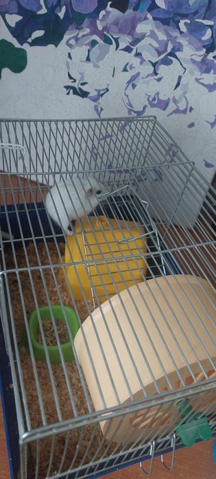 Клітка для хомяка