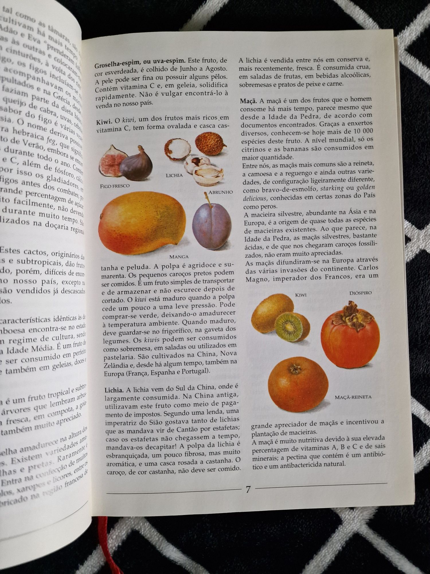 Livro Um Mundo de Sabores Frutos