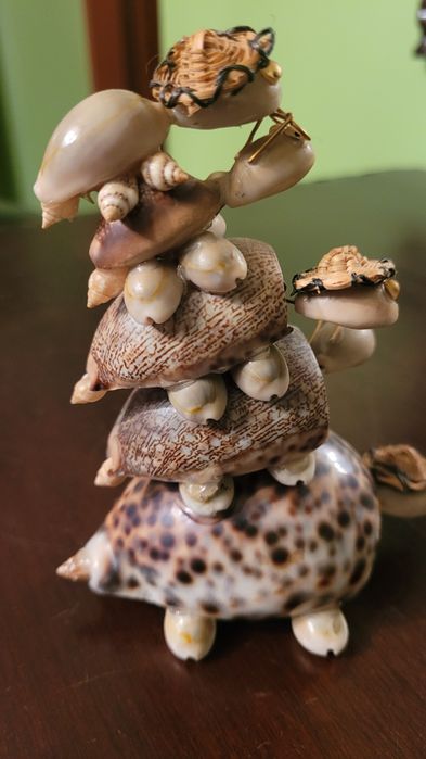 Muszle i wyroby z różnego rodzaju muszli