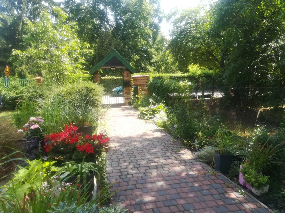 Tani, duży pokój 14,5m² PIĄTKOWO dla studenta, Od zaraz!