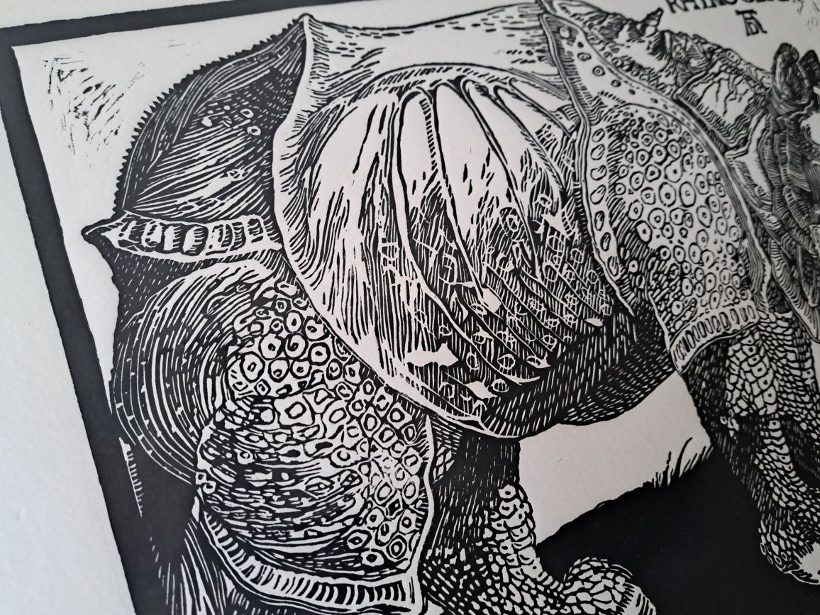 Linogravura Rinoceronte, de Dürer - gravura em linóleo linocut - NOVO